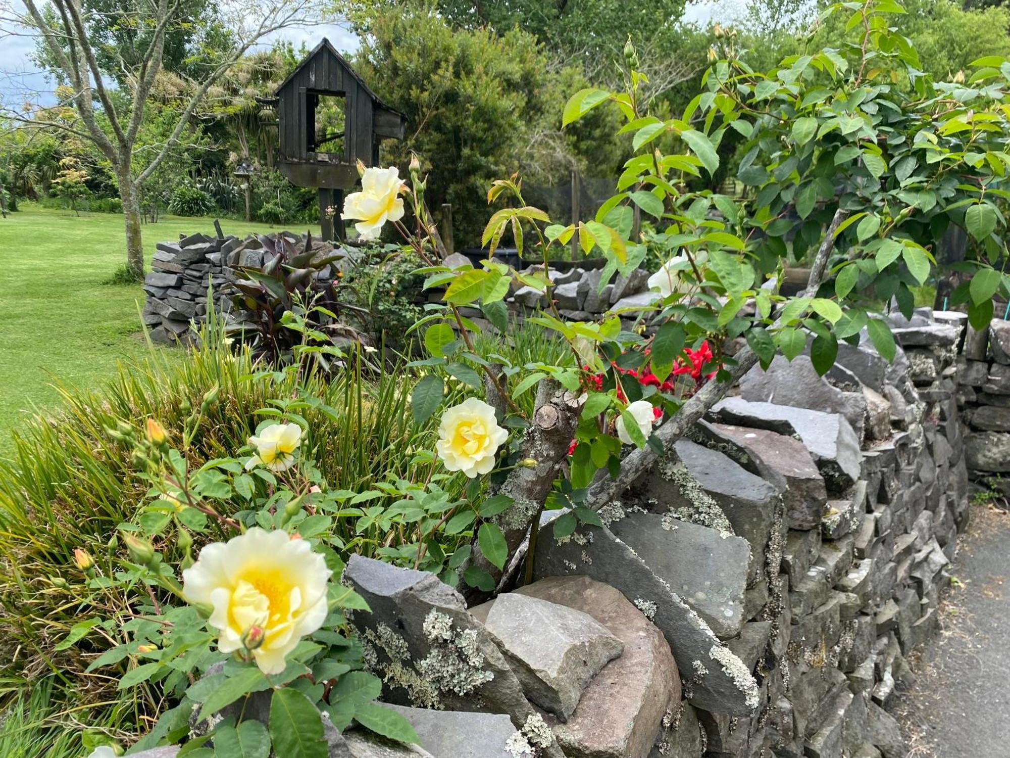 Willows Reach Lodge Kumeu Buitenkant foto