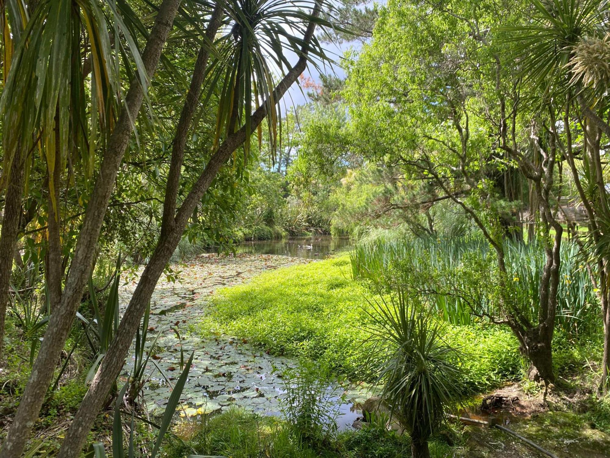 Willows Reach Lodge Kumeu Buitenkant foto