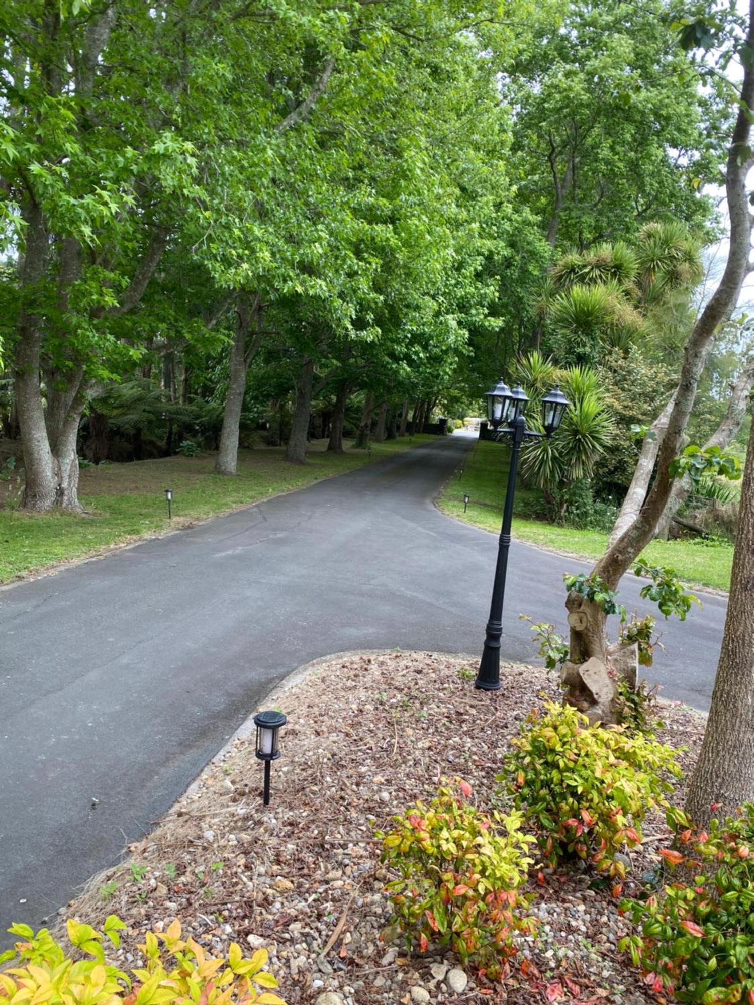 Willows Reach Lodge Kumeu Buitenkant foto