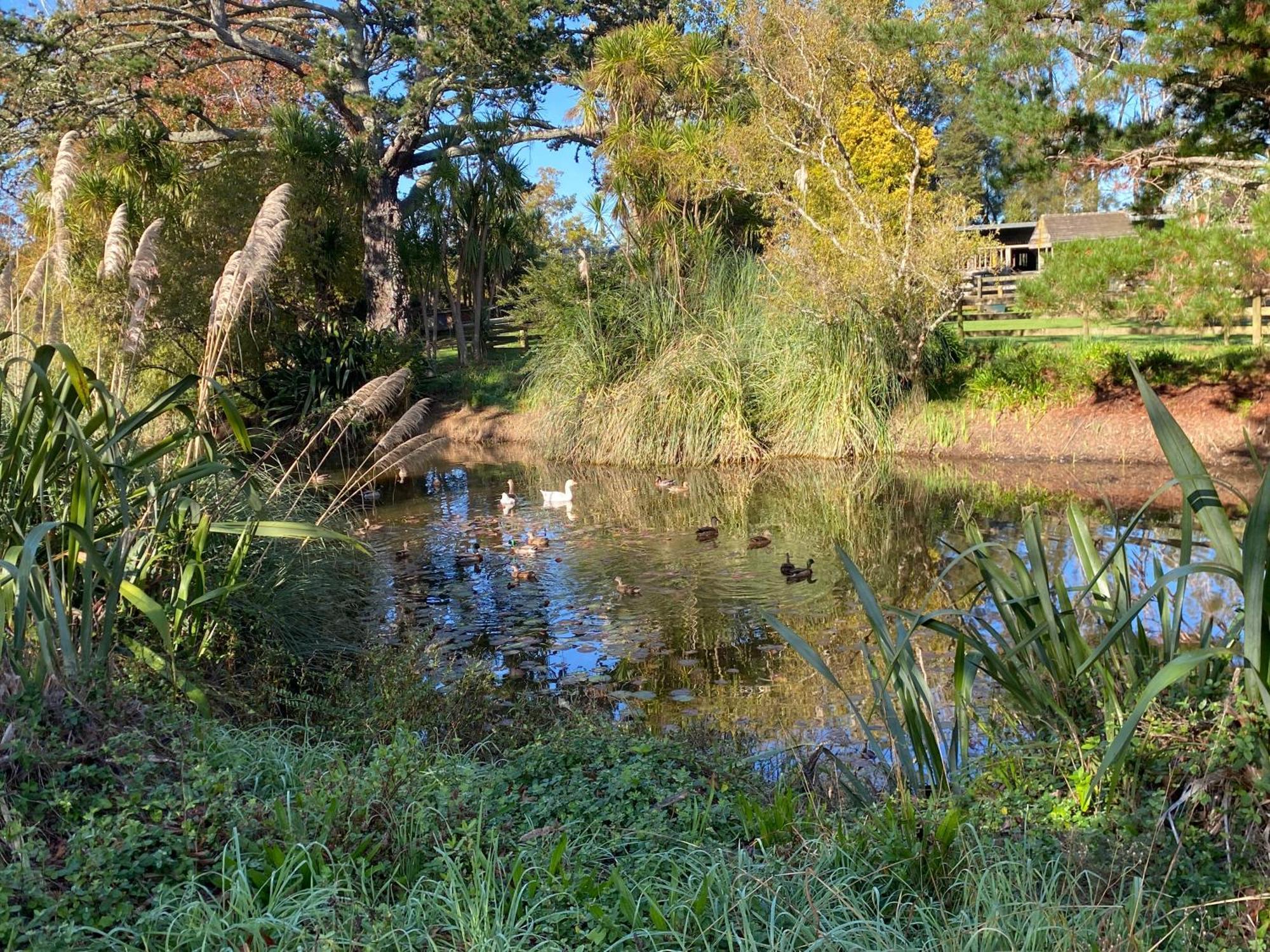 Willows Reach Lodge Kumeu Buitenkant foto