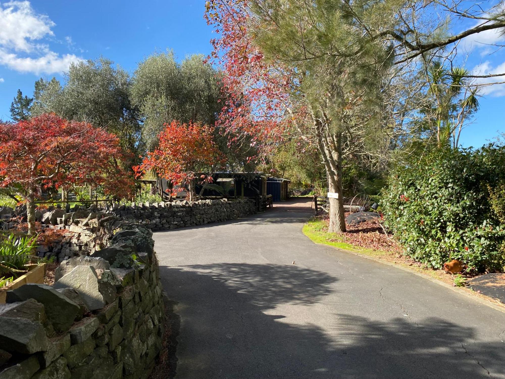 Willows Reach Lodge Kumeu Buitenkant foto